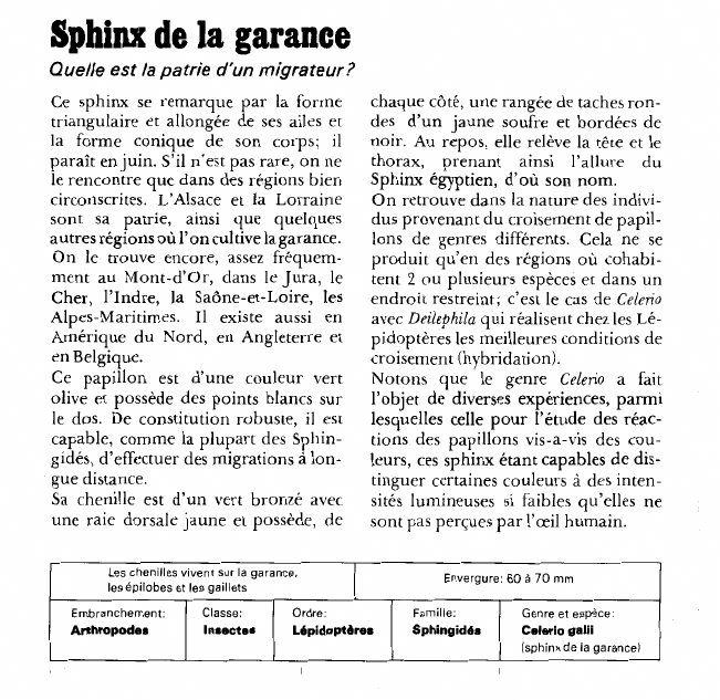 Prévisualisation du document Sphinx de la garance:Quelle est la patrie d'un migrateur?