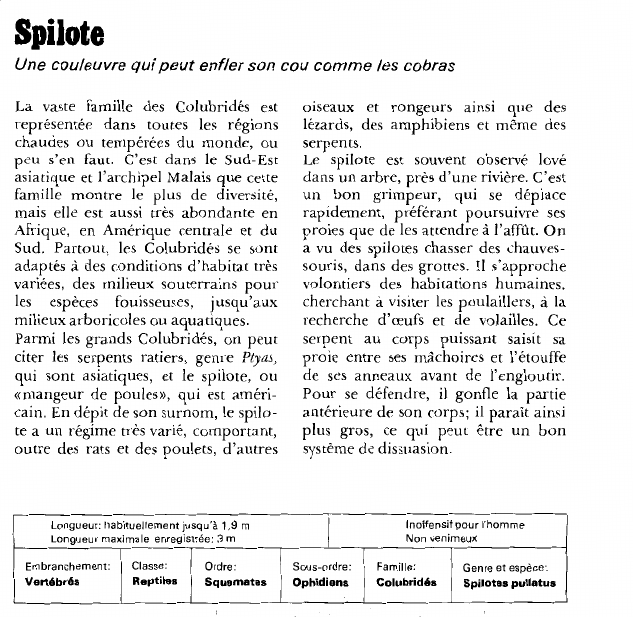 Prévisualisation du document Spilote.
