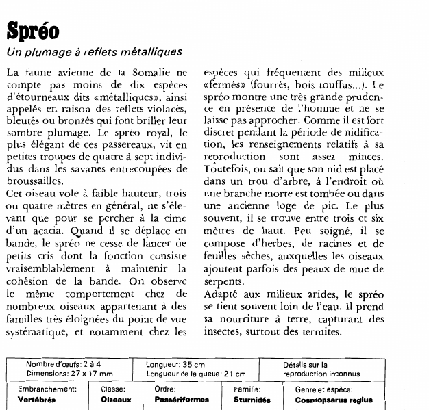 Prévisualisation du document Spréo:Un plumage à reflets métalliques.