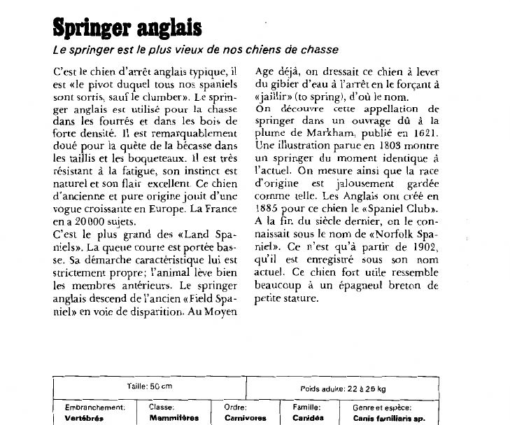 Prévisualisation du document Springer anglais:Le springer est le plus vieux de nos chiens de chasse.