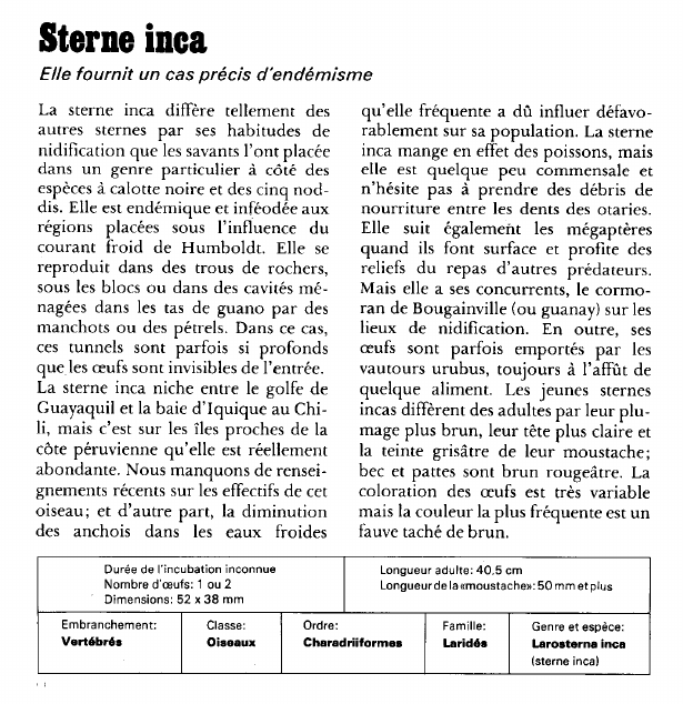 Prévisualisation du document Sterne inca:Elle fournit un cas précis d'endémisme.