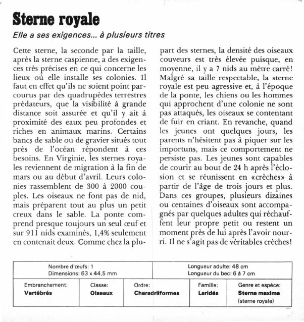 Prévisualisation du document Sterne royale:Elle a ses exigences à plusieurs titres.