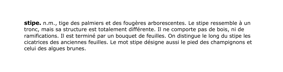 Prévisualisation du document stipe.