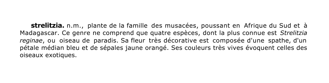 Prévisualisation du document strelitzia.