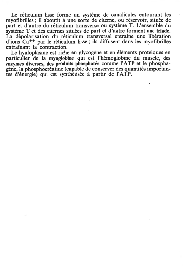 Prévisualisation du document STRUCTURE DE LA CELLULE MUSCULAIRE STRIÉE