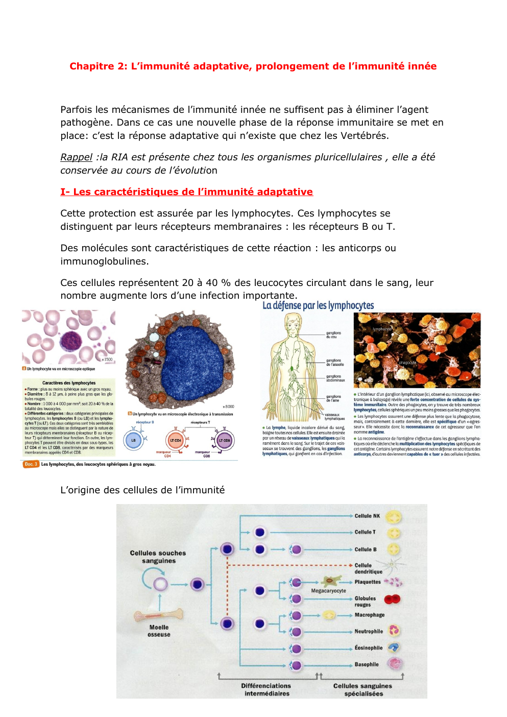 Prévisualisation du document svt chap 2 première: Chapitre 2: L’immunité adaptative, prolongement de l’immunité innée