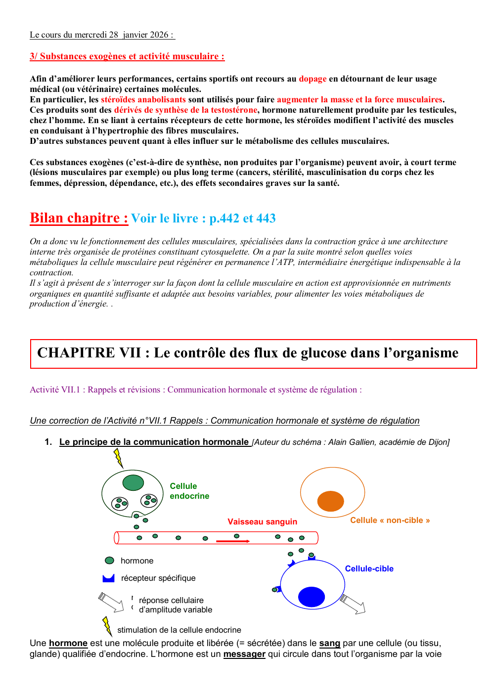 Prévisualisation du document SVT: CHAPITRE VII : Le contrôle des flux de glucose dans l’organisme