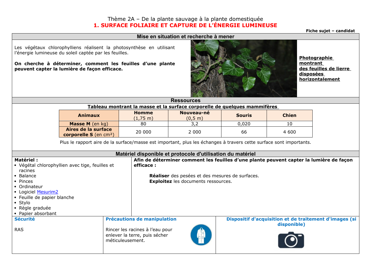 Prévisualisation du document SVT ECE PHOTOSYNTHESE