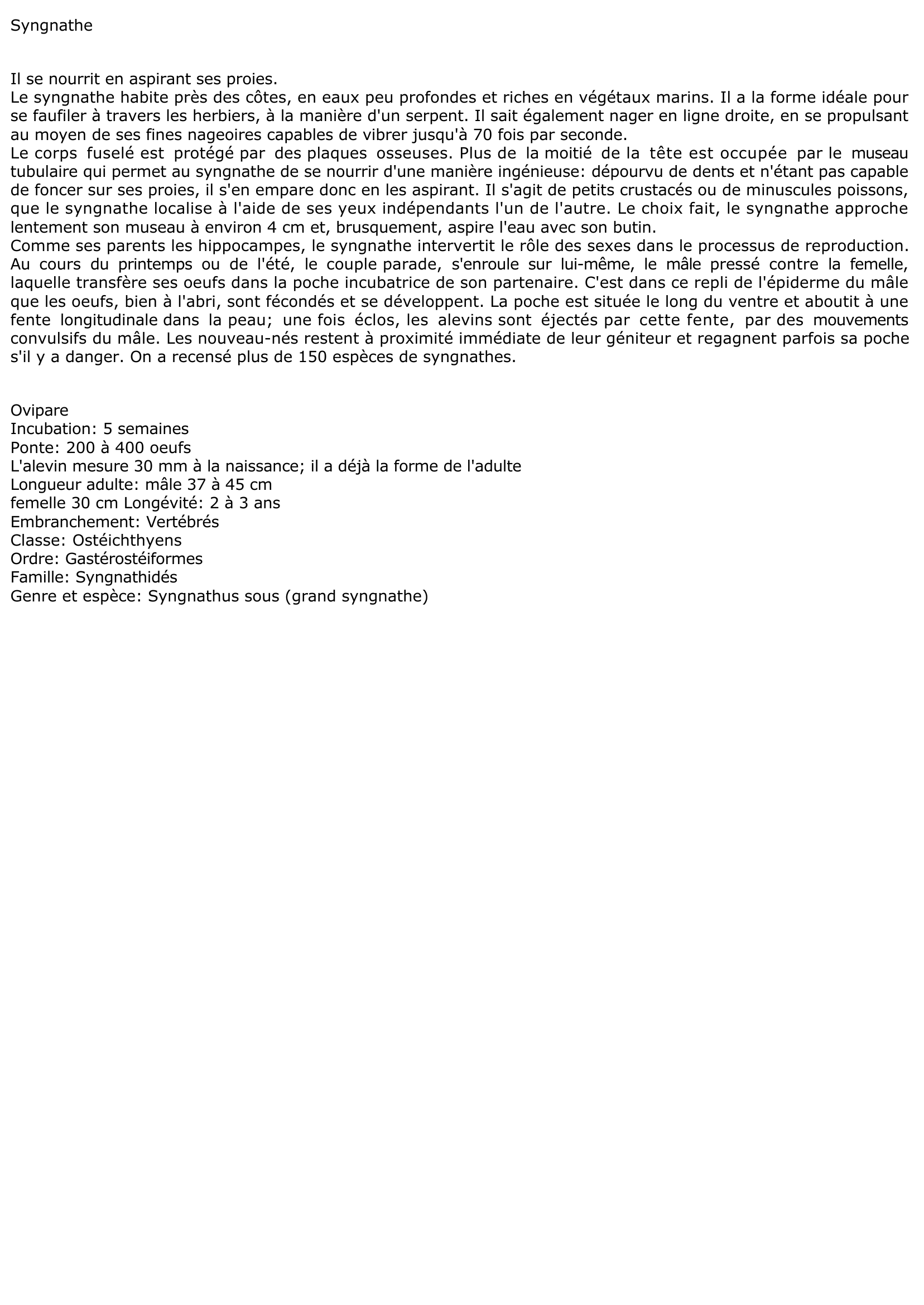 Prévisualisation du document Syngnathe