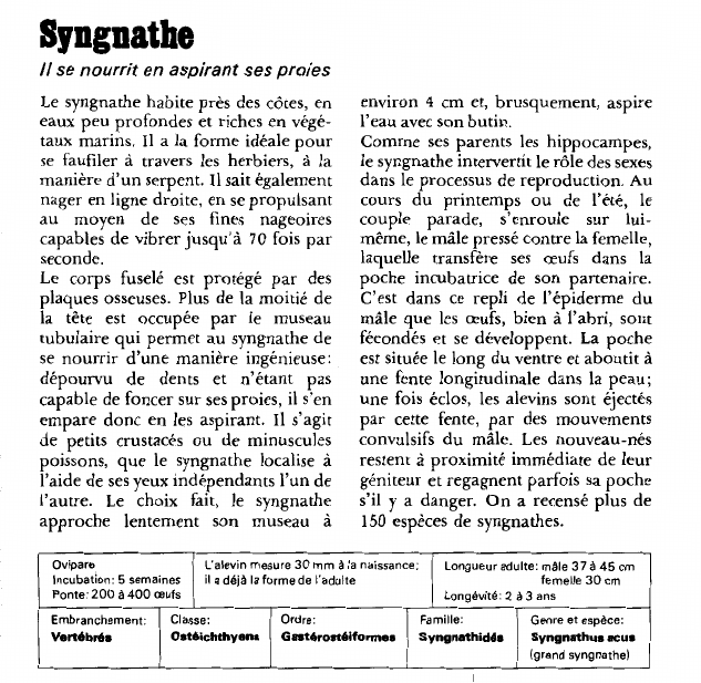 Prévisualisation du document SyngnatheIl se nourrit en aspirant ses proies.