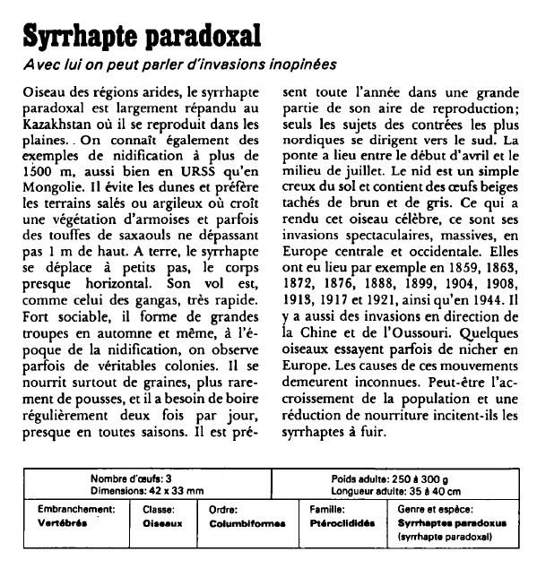 Prévisualisation du document Syrrhapte paradoxal:Avec lui on peut parler d'invasions inopinées.