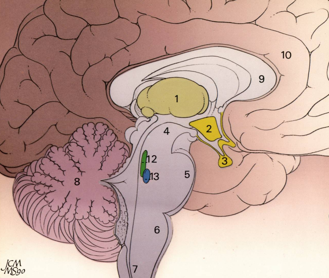 Prévisualisation du document SYSTÈME AXIAL