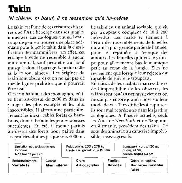 Prévisualisation du document Takin:Ni chèvre, ni boeuf, il ne ressemble qu'à lui-même.