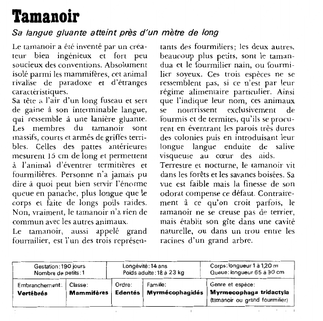 Prévisualisation du document Tamanoir:Sa langue gluante atteint près d'un mètre de long.