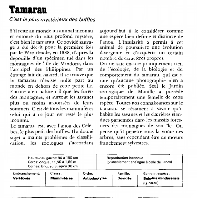 Prévisualisation du document Tamaran:C'est le plus mystérieux des buffles.