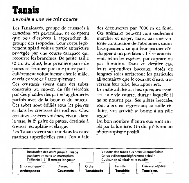 Prévisualisation du document Tanais:Le mâle a une vie très courte.