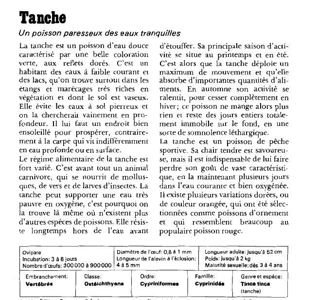 Prévisualisation du document Tanche:Un poisson paresseux des eaux tranquilles.