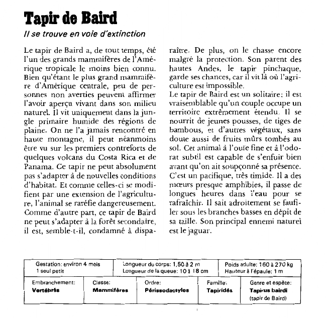 Prévisualisation du document Tapir de Baird:se trouve en voie d'extinction.