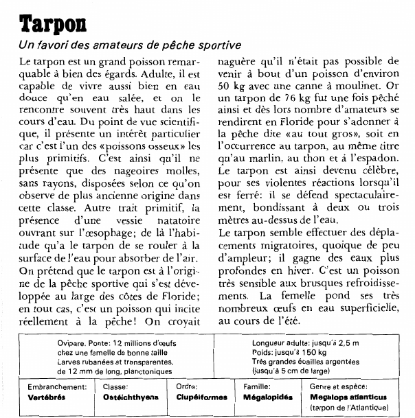 Prévisualisation du document Tarpon:Un favori des amateurs de pêche sportive.