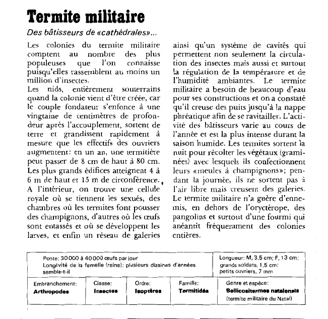 Prévisualisation du document Termite militaire:Des bâtisseurs de «cathédrales».