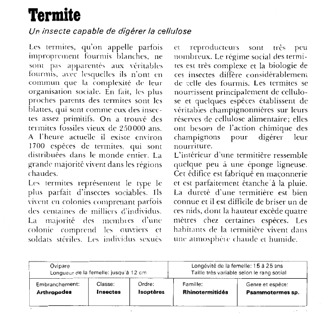 Prévisualisation du document Termite:Un insecte capable de digérer la cellulose.