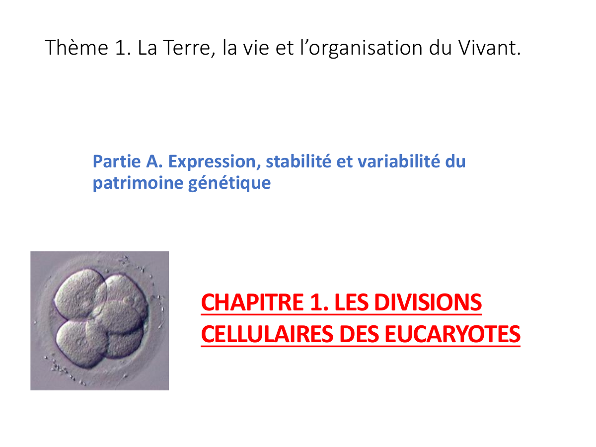 Prévisualisation du document Thème 1. La Terre, la vie et l’organisation du Vivant.  Partie A. Expression, stabilité et variabilité du patrimoine génétique  CHAPITRE 1. LES DIVISIONS CELLULAIRES DES EUCARYOTES