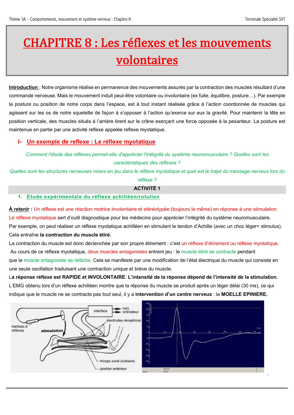 Prévisualisation du document Thème 3A – Comportements, mouvement et système nerveux : Chapitre 8  Terminale Spécialité SVT  CHAPITRE 8 : Les réflexes et les mouvements