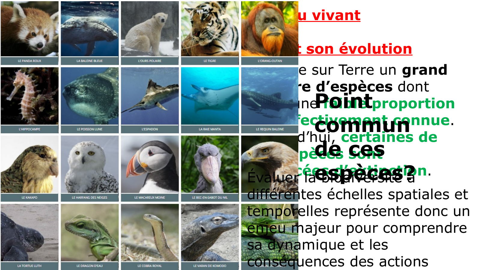 Prévisualisation du document Thème : une histoire du vivant Chapitre 1 : La biodiversité et son évolution