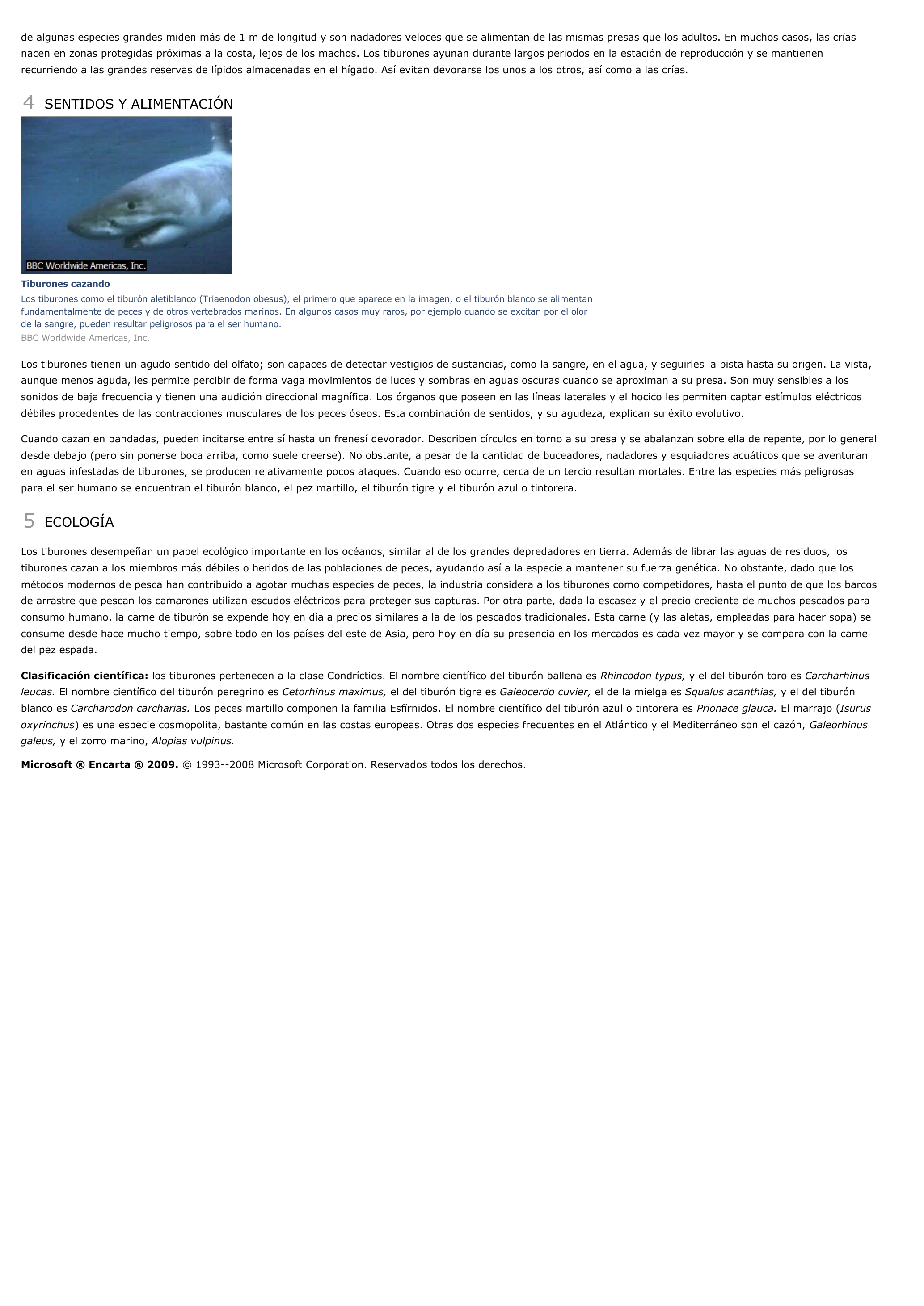 Prévisualisation du document Tiburón - ciencias de la naturaleza.