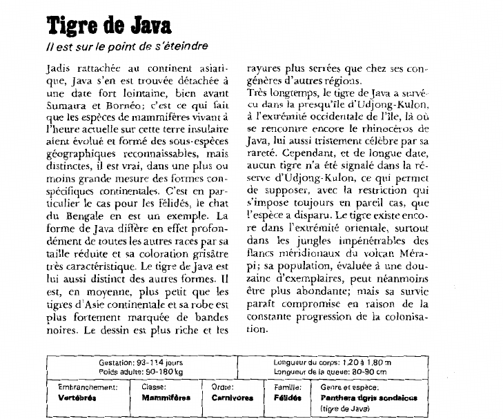 Prévisualisation du document Tigre de Java:Il est sur le point de s'éteindre.