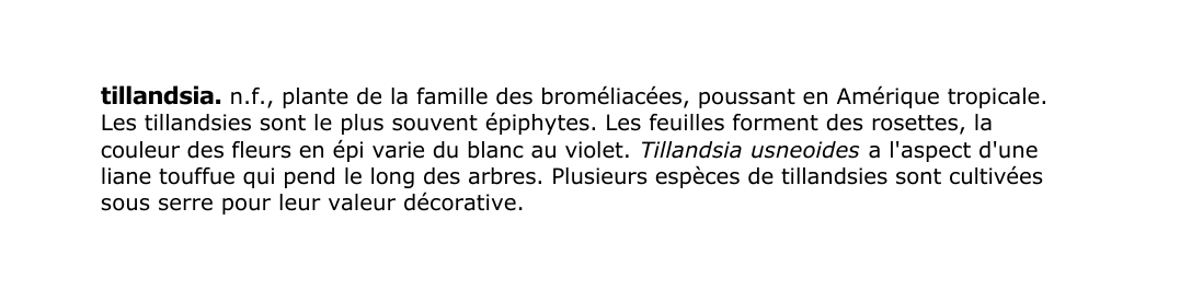 Prévisualisation du document tillandsia.