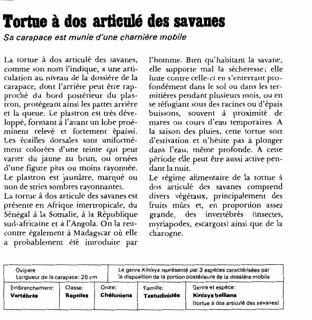 Prévisualisation du document Tortue à dos articulé des savanes:Sa carapace est munie d'une charnière mobile.