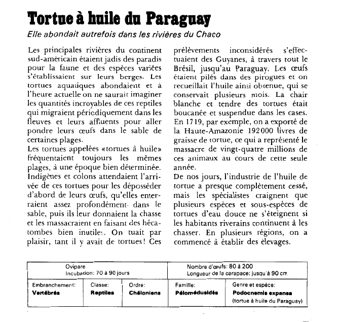 Prévisualisation du document Tortue à huile du Paraguay:Elle abondait autrefois dans les rivières du Chaco.