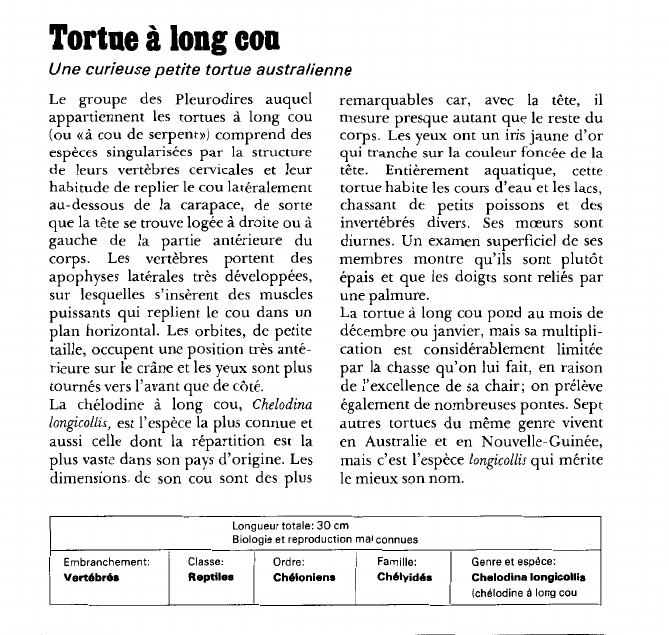 Prévisualisation du document Tortue à long cou:Une curieuse petite tortue australienne.