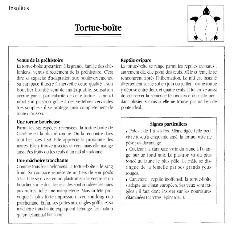 Prévisualisation du document Tortue-boîte.