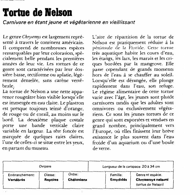 Prévisualisation du document Tortue de Nelson:Carnivore en étant jeune et végétarienne en vieillissant.