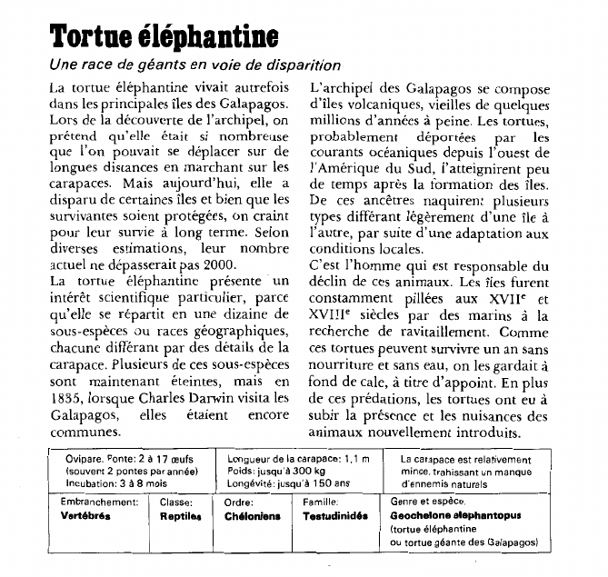 Prévisualisation du document Tortue éléphantine:Une race de géants en voie de disparition.
