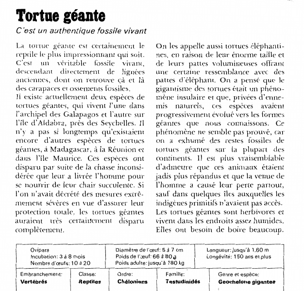 Prévisualisation du document Tortue géante:C'est un authentique fossile vivant.