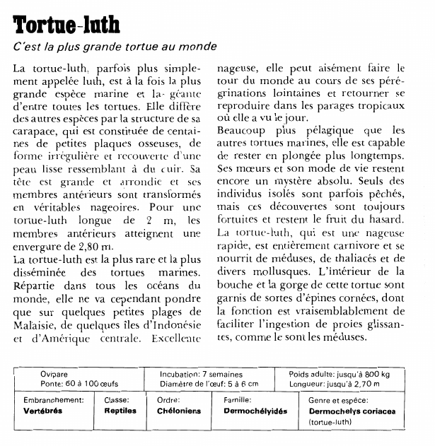 Prévisualisation du document Tortue-luth:C'est la plus grande tortue au monde.