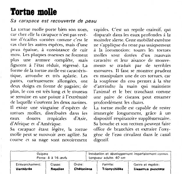 Prévisualisation du document Tortue molle:Sa carapace est recouverte de peau.