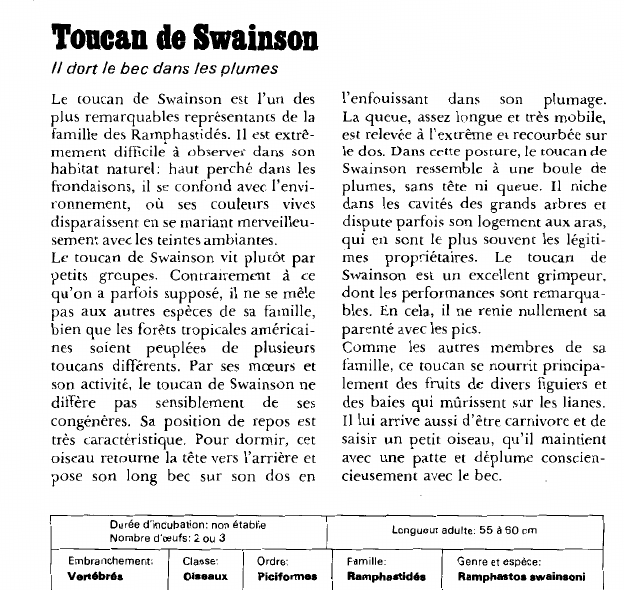 Prévisualisation du document Toucan de Swainson:Il dort le bec dans les plumes.