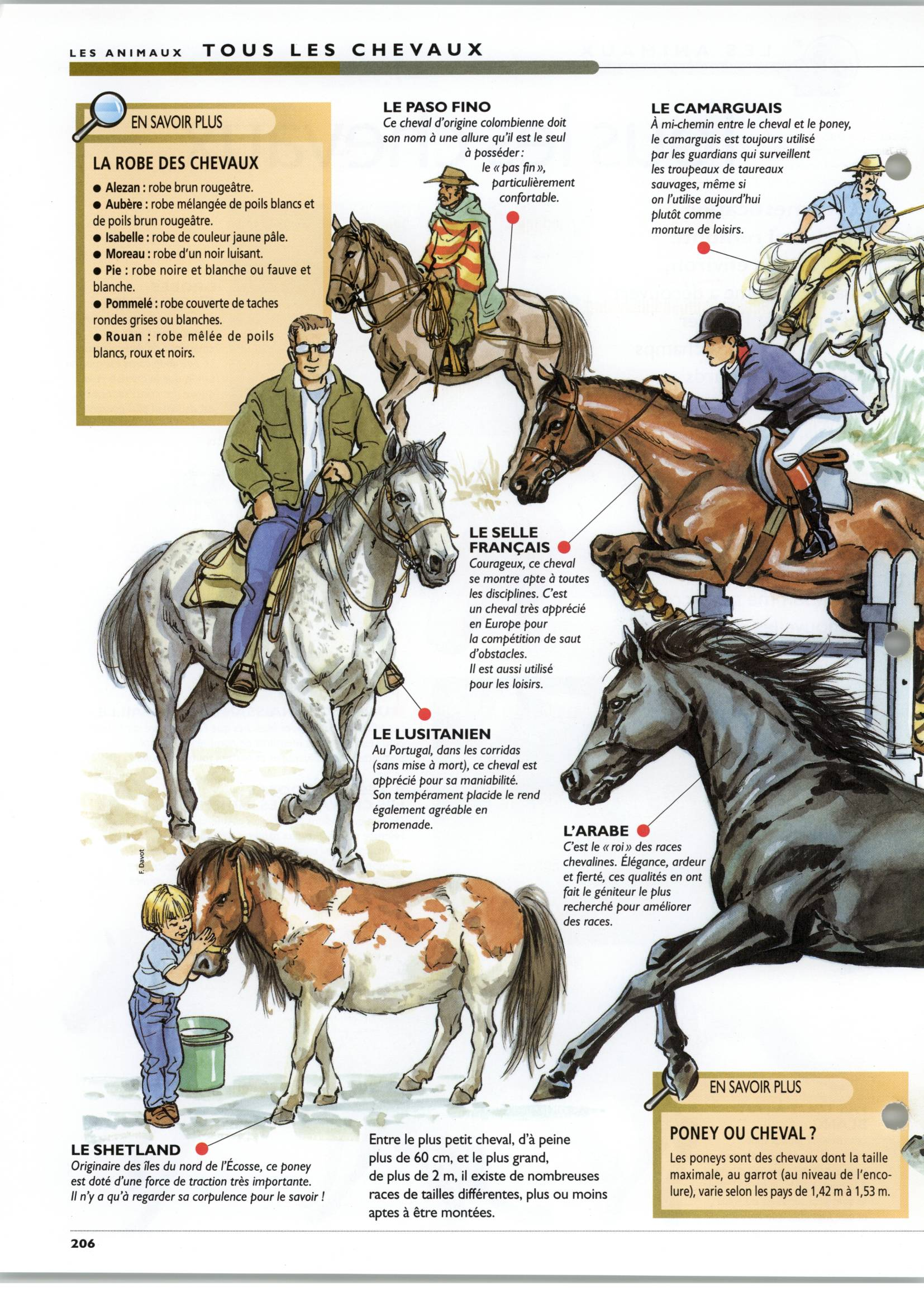 Prévisualisation du document Tous les chevaux