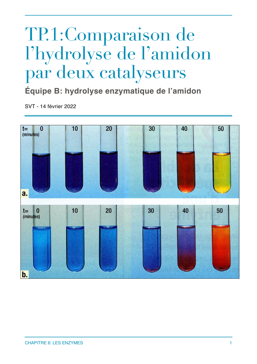 Prévisualisation du document TP: Comparaison de l’hydrolyse de l’amidon par deux catalyseurs