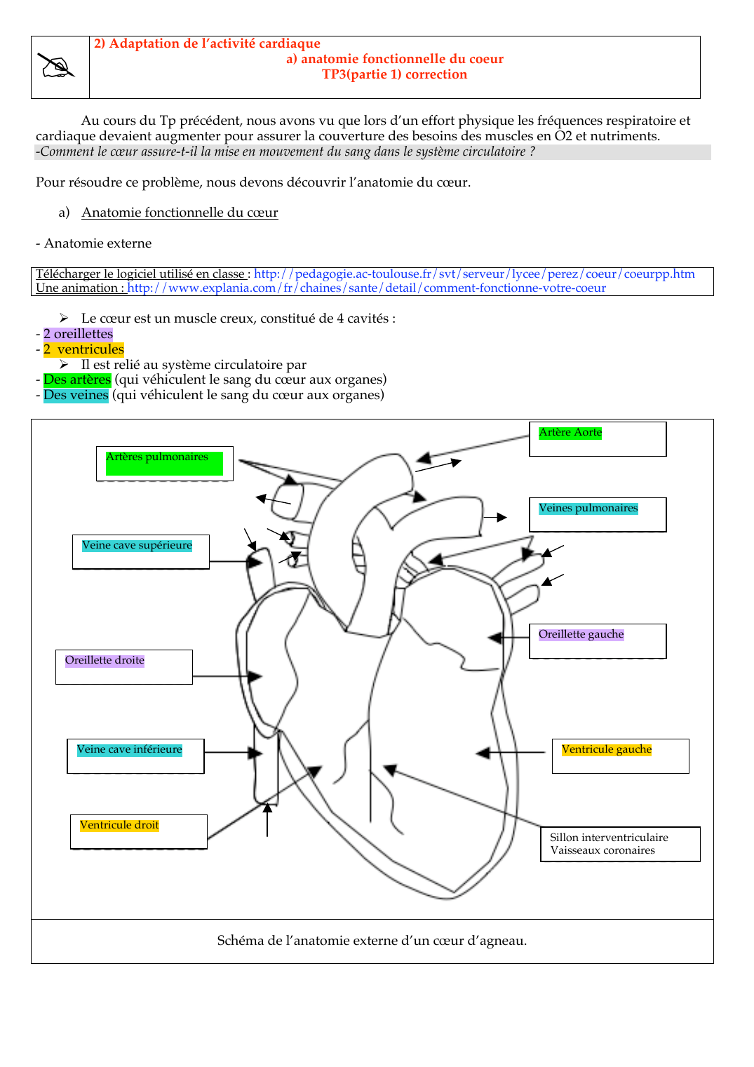 Prévisualisation du document TP3