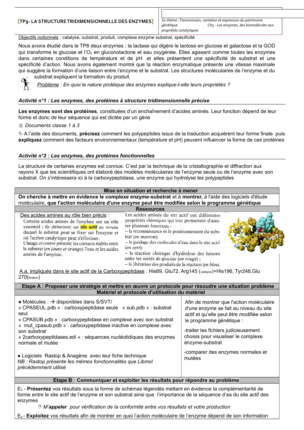 Prévisualisation du document [TP9- LA STRUCTURE TRIDIMENSIONNELLE DES ENZYMES]