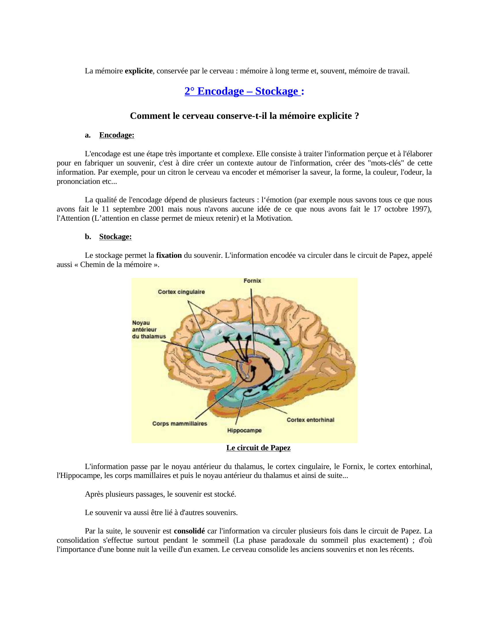 Prévisualisation du document tpe Alzheimer