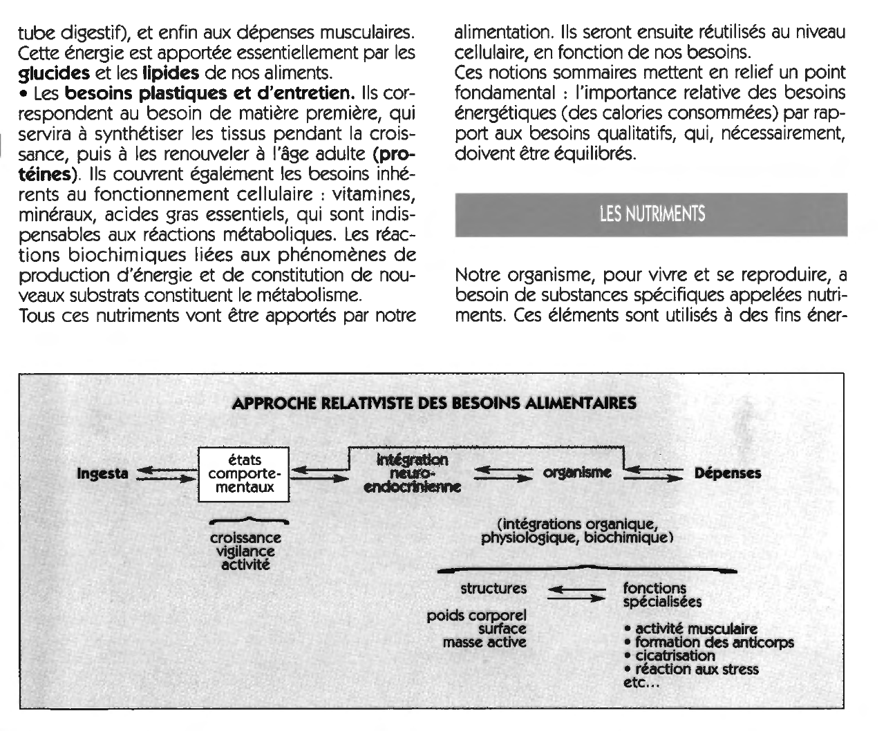 Prévisualisation du document TPE: Diététique, alimentation et régimes