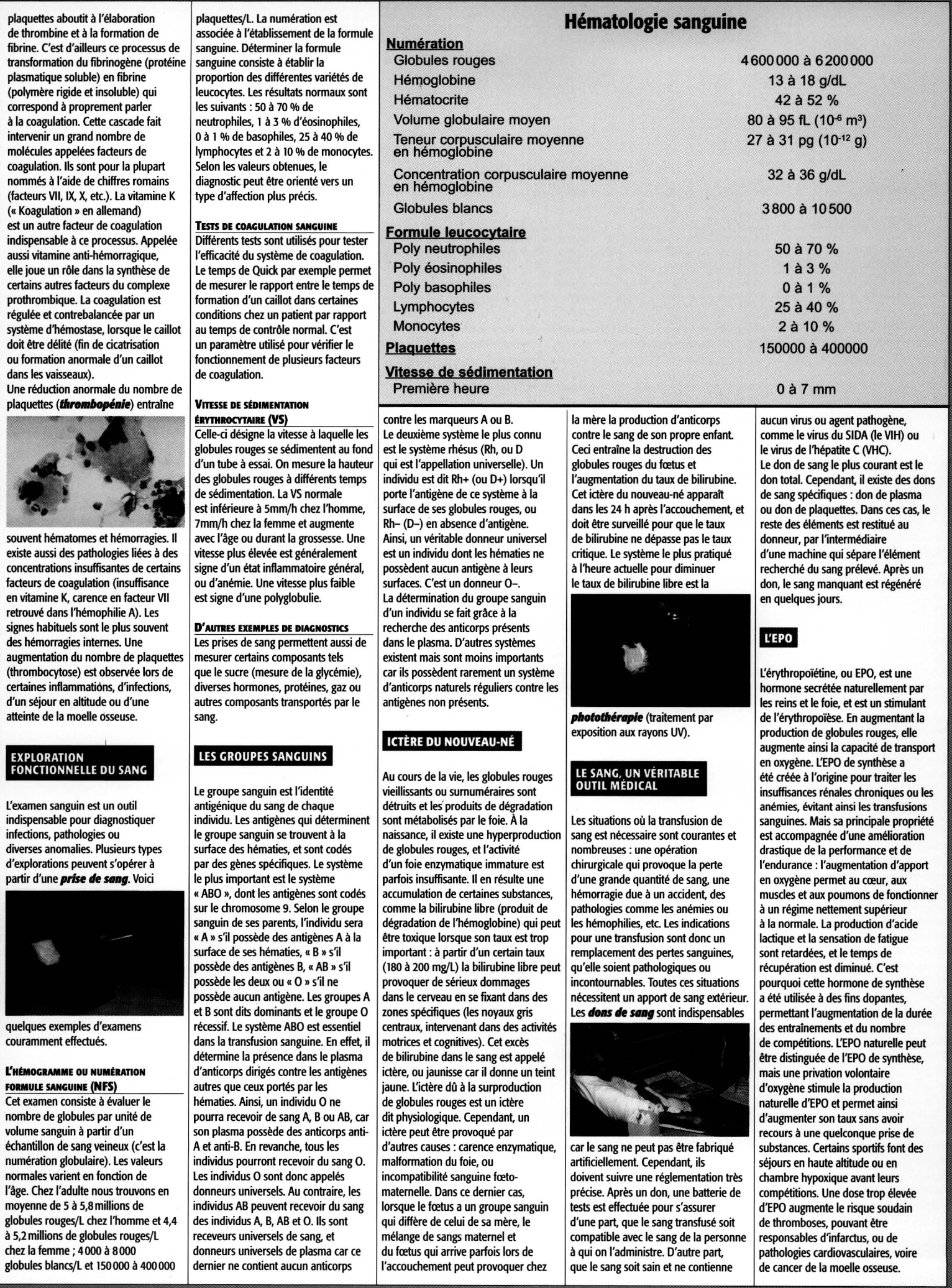 Prévisualisation du document TPE: LE SANG