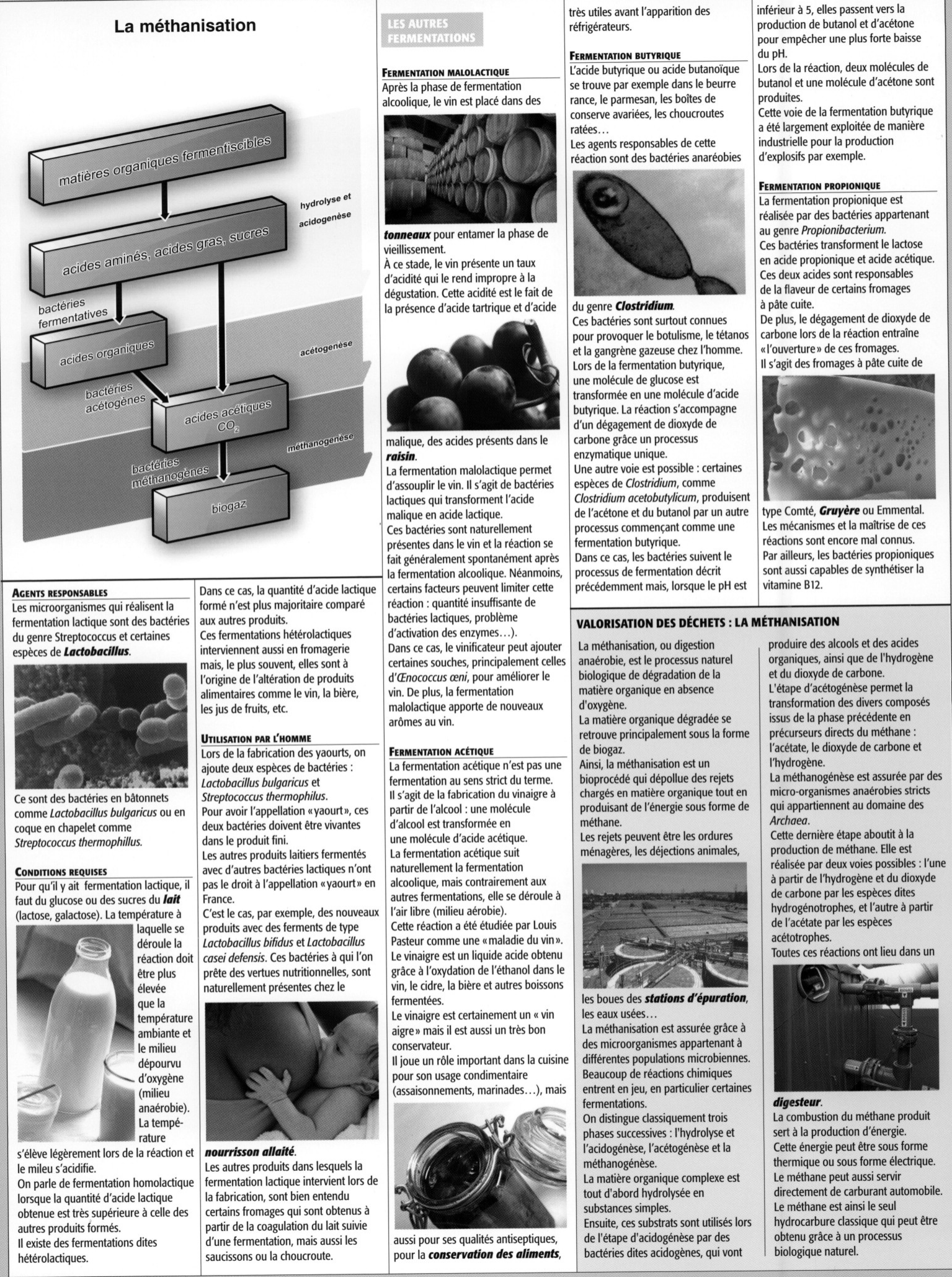 Prévisualisation du document TPE SUR LA FERMENTATION