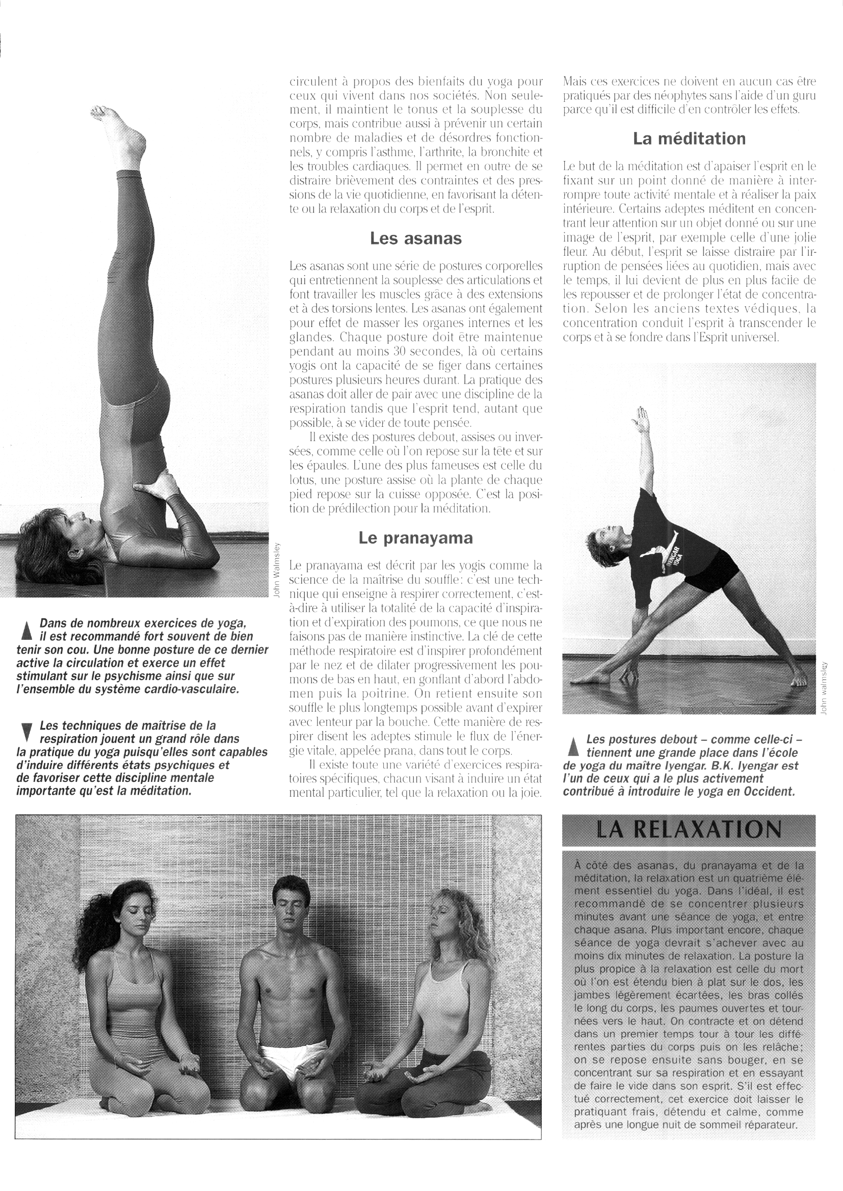 Prévisualisation du document TPE sur le Yoga